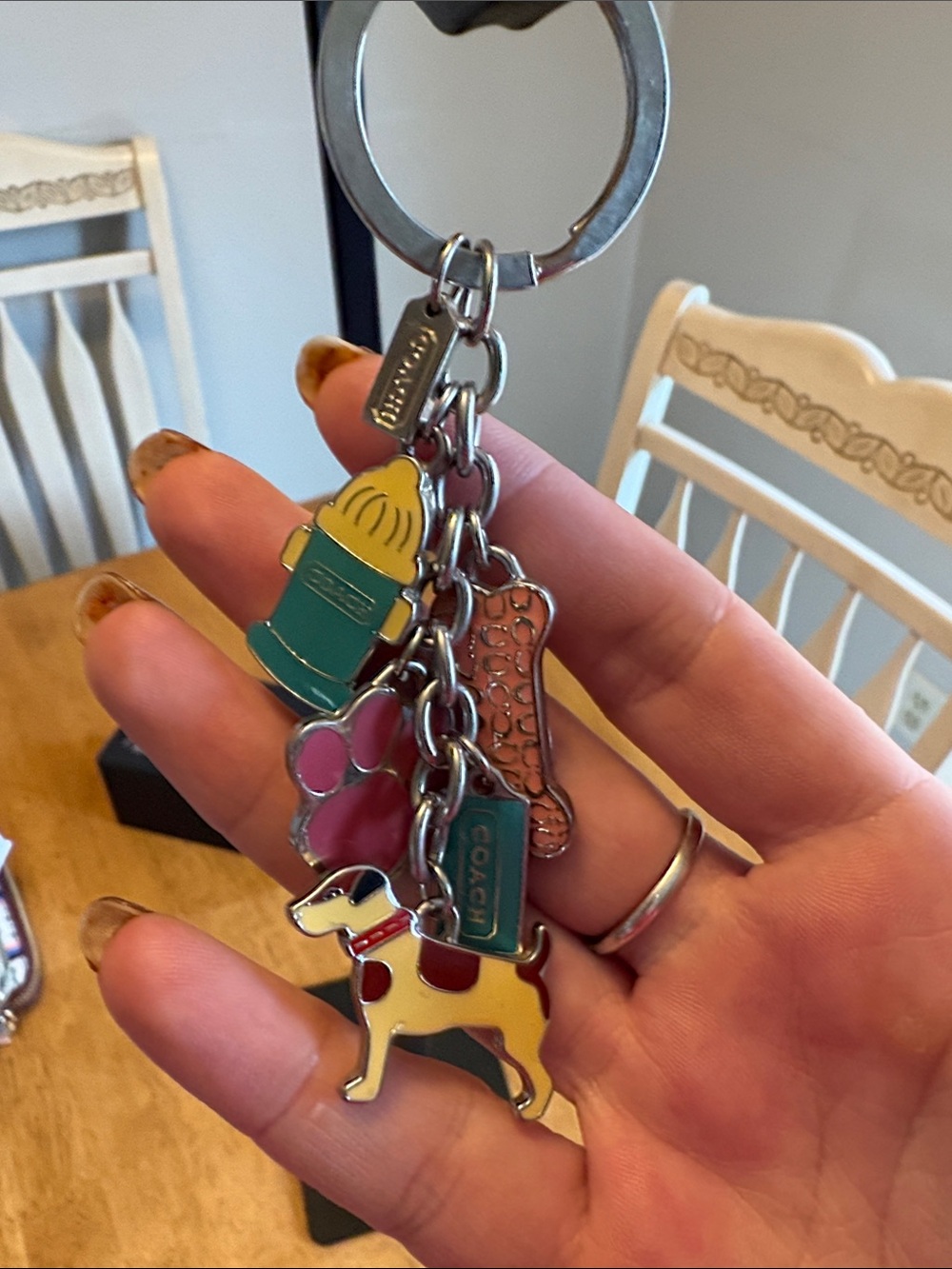 Coach Multicolor Enamel Dog & Pet Charm Keychain